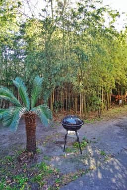 212 E Waldburg - Carriage House Lower